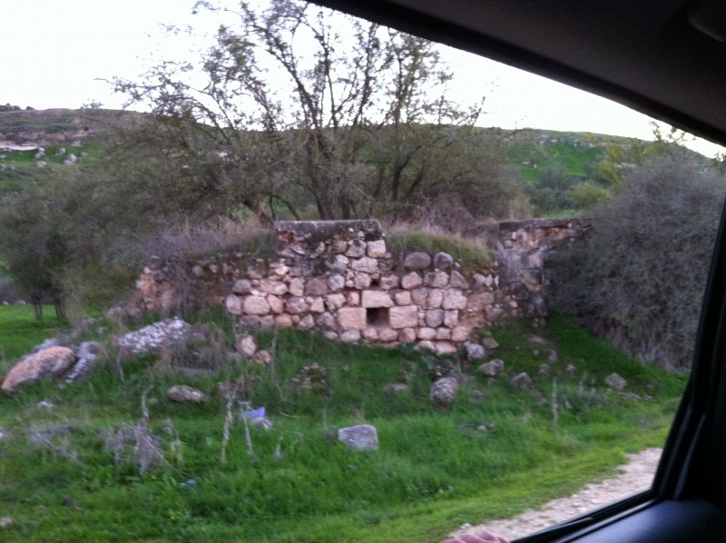 קובץ:2012.01.7-165752.331.iphone.jpg