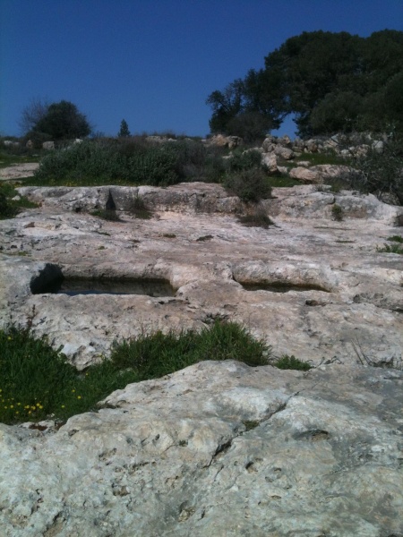 קובץ:2012.02.13-110211.857.iphone.jpg