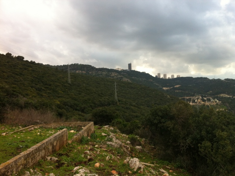 קובץ:2012.03.3-165041.930.iphone.jpg