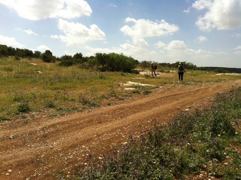 קובץ:2012.04.11-111755.639.iphone.jpg