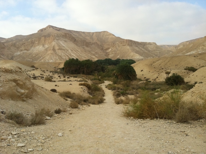 קובץ:2012.06.29-071221.546.iphone.jpg