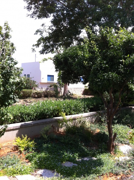 קובץ:2012.07.21-142153.20.iphone.jpg