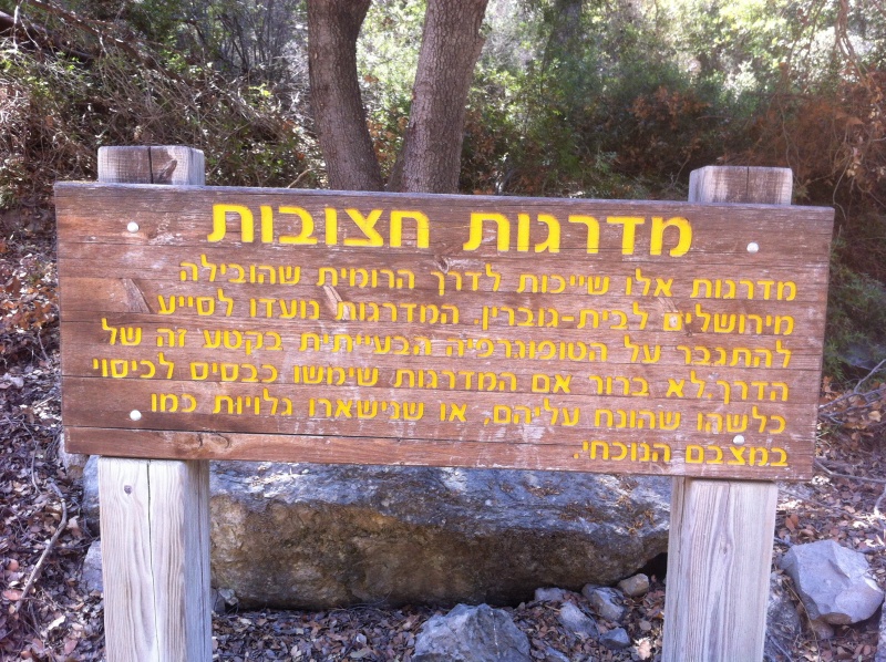 קובץ:2012.07.28-113122.986.iphone.jpg