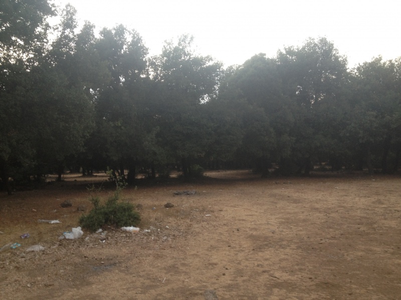 קובץ:2012.08.5-192941.472.iphone.jpg