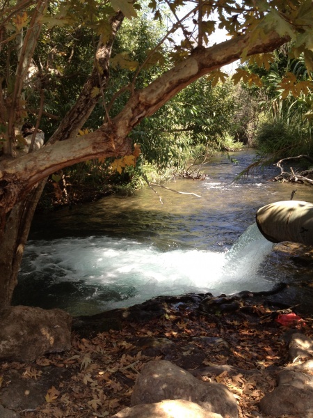 קובץ:2012.09.22-120920.763.iphone.jpg
