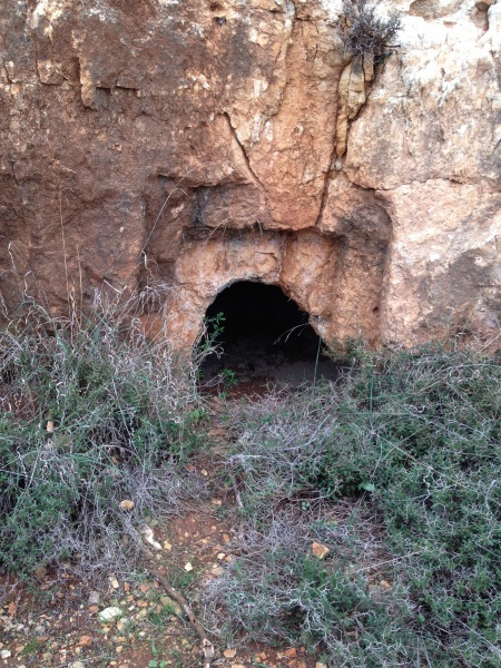 קובץ:2012.12.5-141937.31.iphone.jpg