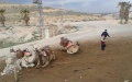 תמונה ממוזערת לגרסה מתאריך 20:46, 6 באפריל 2016