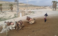 2012 עין פרת עם סרטן 433.jpg