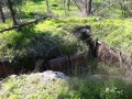 תמונה ממוזערת לגרסה מתאריך 08:56, 4 בינואר 2013