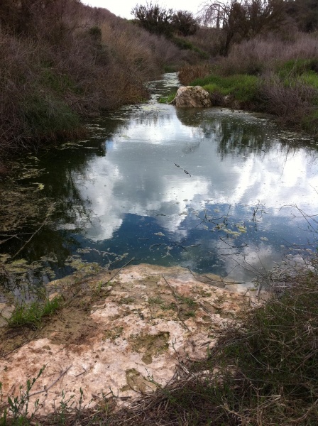 קובץ:2013.02.16-140057.510.iphone.jpg