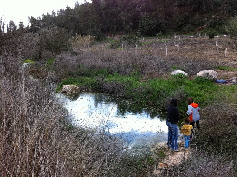 קובץ:2013.02.16-140201.8.iphone.jpg