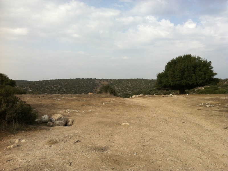 קובץ:2013.11.9-141147.226.iphone.jpg