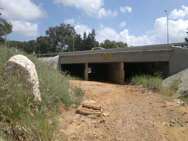 קובץ:2014-04-10-1234.jpg