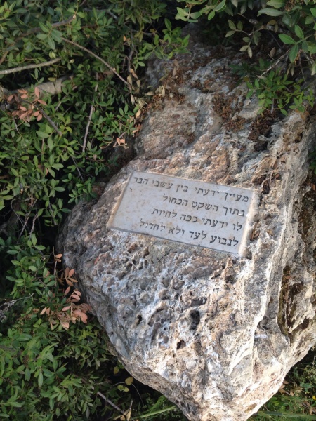 קובץ:2014.04.18-183745.362.iphone.jpg