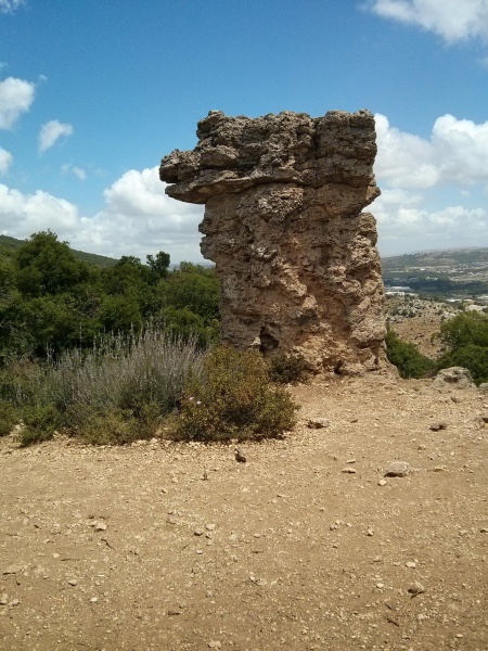 קובץ:2014.06.06-122409.293.android.jpg