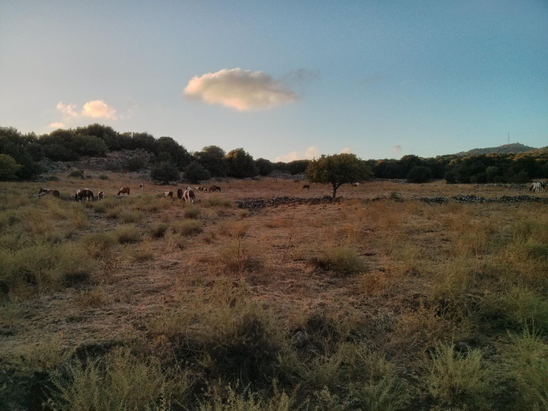 קובץ:2014.07.13-202717.449.android.jpg