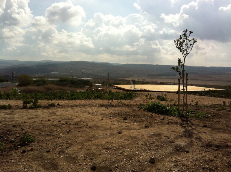 קובץ:2014.11.4-103837.379.iphone.jpg