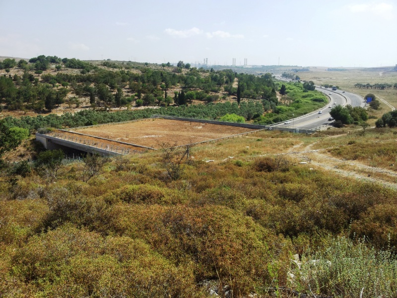 קובץ:20140523 094804.jpg