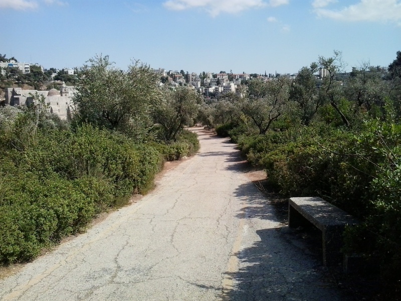 קובץ:20140910 145303.jpg