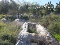 תמונה ממוזערת לגרסה מתאריך 08:30, 31 בינואר 2015