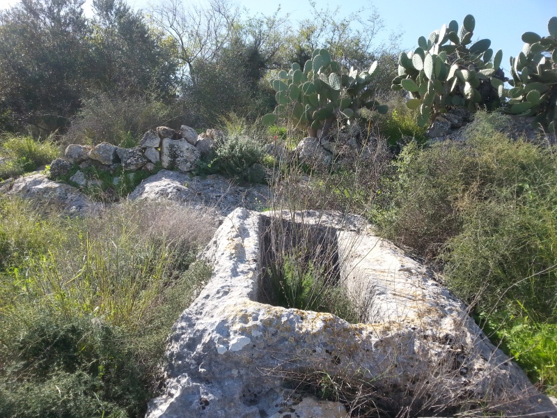 קובץ:2015.01.31-112049.654.android.jpg