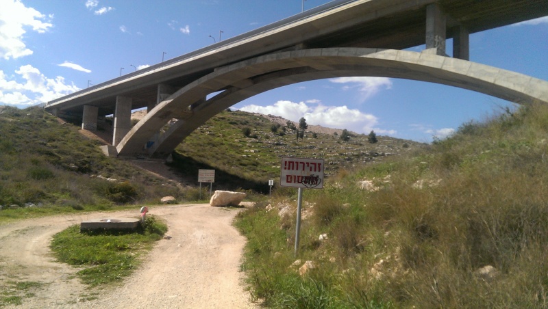 קובץ:2015.02.07-123805.167.android.jpg