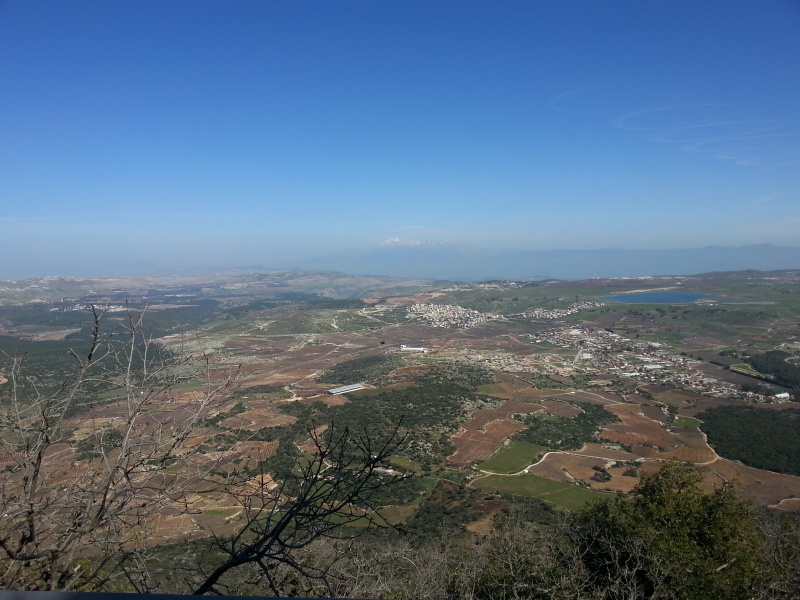 קובץ:2015.02.07-130524.651.android.jpg