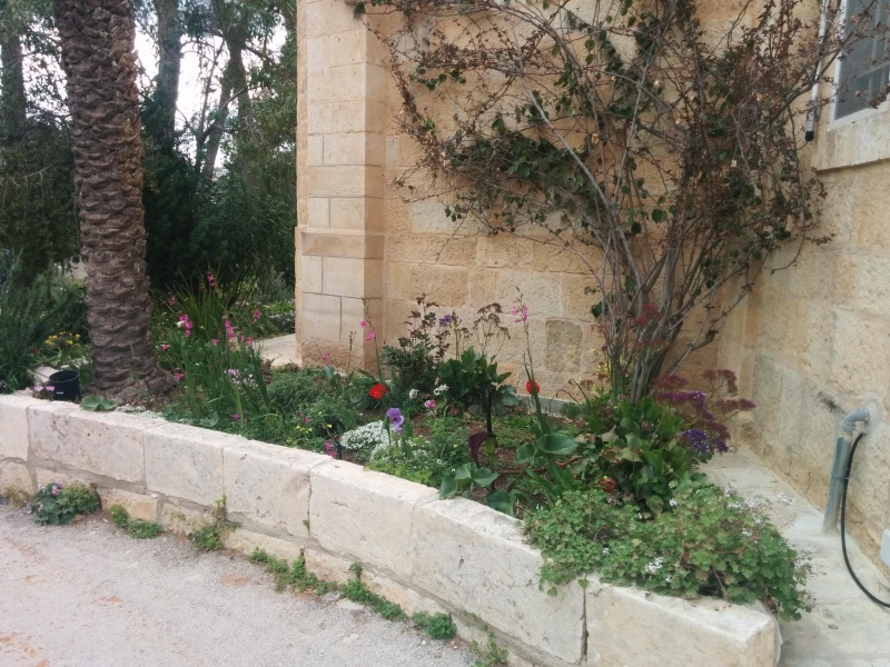 קובץ:2015.03.21-155535.256.android.jpg