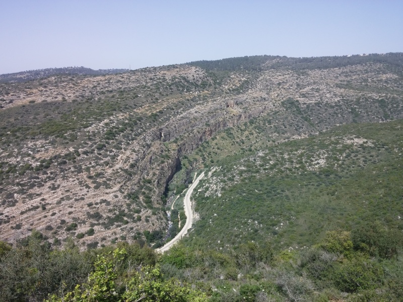 קובץ:2015.04.07-151654.291.android.jpg