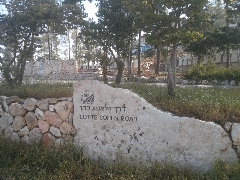 קובץ:2015.04.17-092726.522.android.jpg