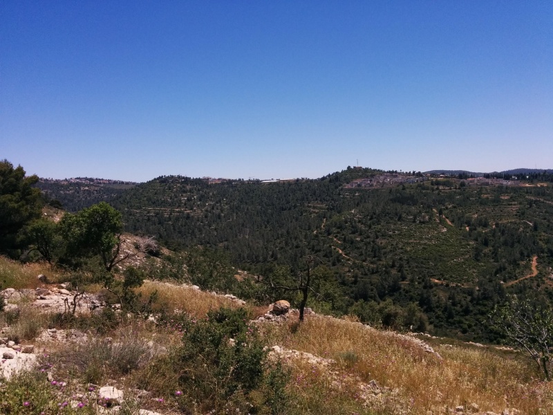 קובץ:2015.04.25-141238.376.android.jpg