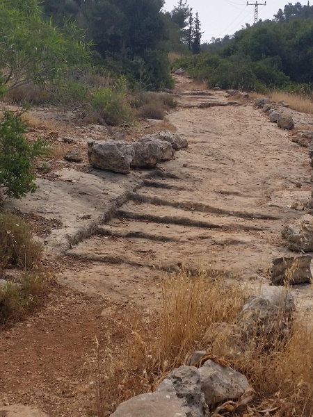 קובץ:2015.05.24-104014.307.android.jpg