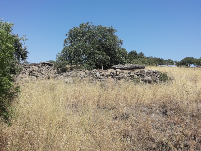 קובץ:2015.06.12-155745.713.android.jpg