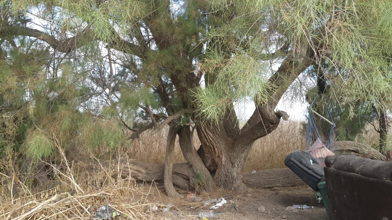 קובץ:2015.07.04-090160.227.android.jpg