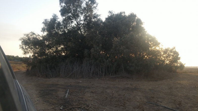 קובץ:2015.09.01-192751.573.android.jpg