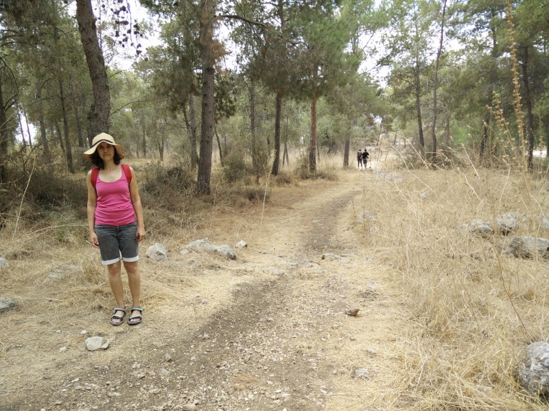 קובץ:2015.10.05-123503.681.android.jpg