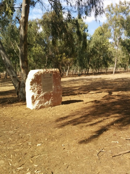 קובץ:2015.10.09-144451.611.android.jpg