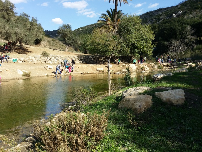 קובץ:2015.12.05-132702.446.android.jpg