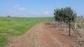 תמונה ממוזערת לגרסה מתאריך 07:05, 10 בפברואר 2016