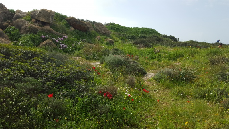 קובץ:2016.02.20-114007.310.android.jpg