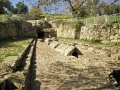 תמונה ממוזערת לגרסה מתאריך 18:13, 26 בפברואר 2016