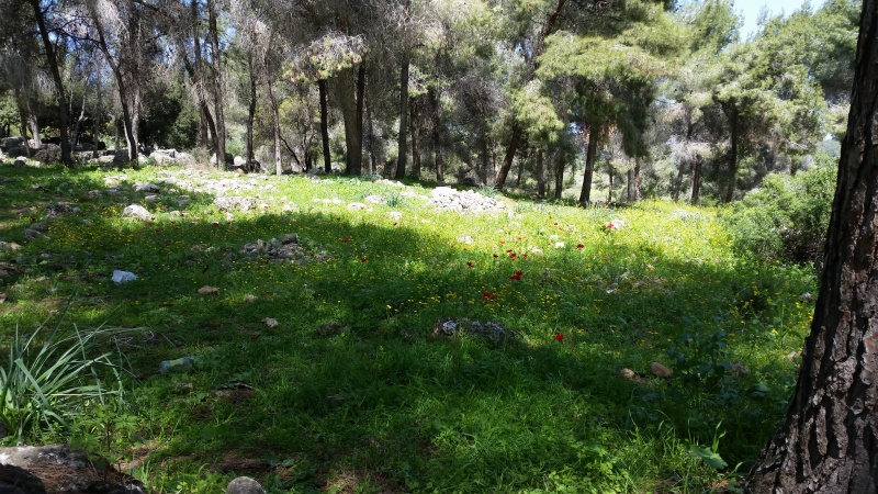 קובץ:2016.02.27-123336.881.android.jpg