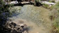 תמונה ממוזערת לגרסה מתאריך 10:33, 11 במרץ 2016