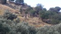 תמונה ממוזערת לגרסה מתאריך 12:10, 25 במאי 2016