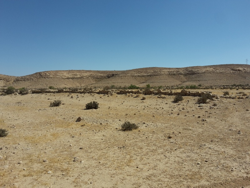 קובץ:2016.06.11-104024.390.android.jpg