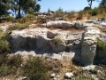 תמונה ממוזערת לגרסה מתאריך 09:59, 3 באוגוסט 2016