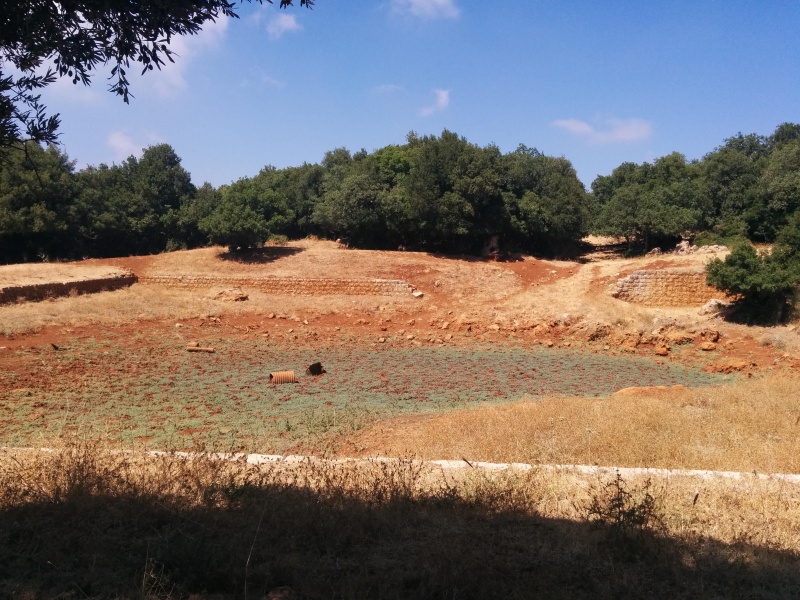 קובץ:2016.08.05-114829.229.android.jpg