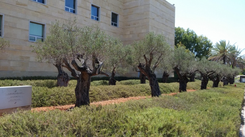 קובץ:2016.08.22-142103.148.android.jpg