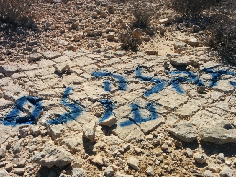 קובץ:2016.10.05-104347.543.android.jpg