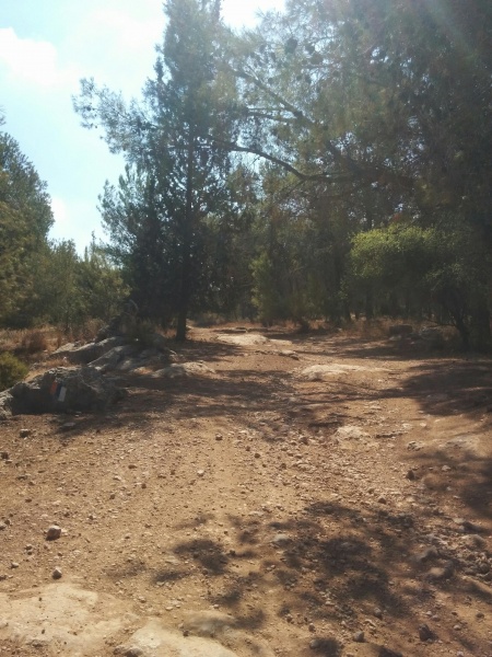 קובץ:2016.10.05-122313.555.android.jpg